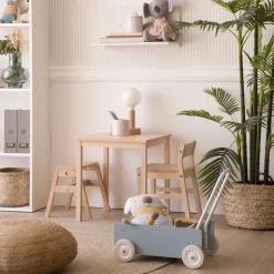 Enfant Banak Alba Andador bois