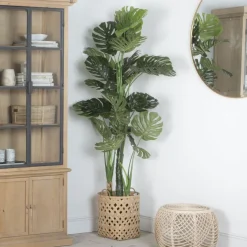 Banak Bowa Plante faux philodendron